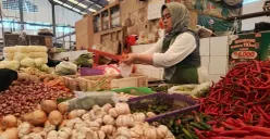 Aktivitas pedagang pasar tradisional Ciseeng, Kabupaten Bogor, Jawa Barat, Selasa, 1 September 2026. (Sumber: Poskota/Ali Mansur)