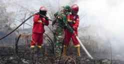 Petugas sedang memadamkan kebakaran hutan (Karhutla) di lahan gambut. (Sumber: Kementerian Kehutanan)