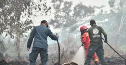 Tim gabungan melakukan pengendalian kebakaran hutan dan lahan di wilayah prioritas untuk mencegah api meluas serta memastikan titik panas segera diverifikasi di lapangan. (Sumber: Kemenhut)