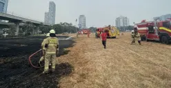 Petugas pemadam kebakaran sedang memadamkan api di Lapangan Aldiron, Pancoran, Jakarta Selatan, Selasa, 8 September 2026. (Sumber: Dok. Istimewa)