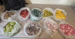 Barang bukti pengungkapan peredaran narkotika jenis etomidate yang dikemas dalam bentuk catridge oleh Direktorat Reserse Narkoba Polda Metro Jaya. (Sumber: Polda Metro Jaya)