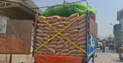 Direktorat Reserse Kriminal Khusus Polda Metro Jaya mengungkap kasus dugaan impor kacang tanah ilegal sebanyak 49,85 ton atau setara 1.536 karung di kawasan Penjaringan, Jakarta Utara, Rabu, 16 September 2026. (Sumber: Poskota/Ali Mansur)
