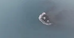 Daratan baru seluas sekitar 30,3 hektare terbentuk di antara Gunung Anak Krakatau dan Pulau Sertung, Lampung Selatan, dari akumulasi material vulkanik hasil erupsi. (Sumber: Istimewa)