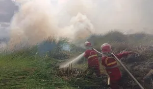 Asap kebakaran hutan Kalimantan mulai meluas hingga Malaysia dan Singapura. (Sumber: Dok. Kemenhut)