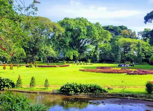 Pemandangan hijau Kebun Raya Bogor, destinasi liburan seru untuk keluarga saat Lebaran 2025. (Sumber: Pinterest)