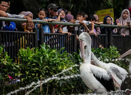 Ilustrasi pengunjung menyaksikan aneka jenis hewan saat mengisi masa libur di Taman Margasatwa Ragunan, Jakarta Selatan. (Sumber: Poskota/Bilal Nugraha Ginanjar)