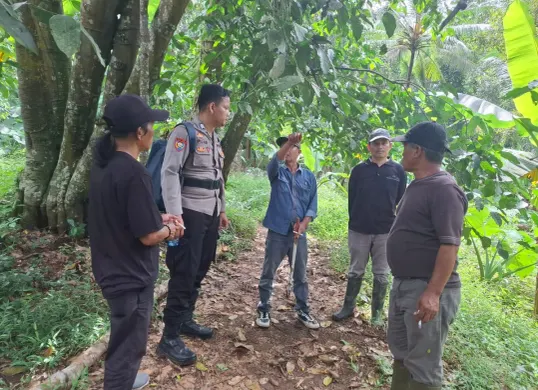 Personel Polsek Pabuaran dibantu warga setempat melakukan penyisiran jalan setapak yang biasa dilintasi korban Nasim yang dilaporkan hilang oleh keluarganya. (Sumber: Dok. Humas Polresta Serang Kota)