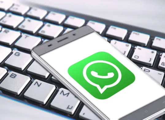 Ilustrasi Atur WhatsApp Anda Agar Terlihat Tidak Online.
(Sumber: Pixabay/geralt)