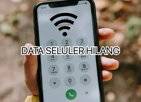 Cara mengatasi data seluler tidak mau muncul. (Canva)