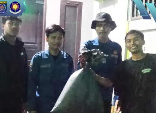 Aksi evakuasi petugas Damkar Depok dalam mengamankan sarang tawon yang meresahkan rumah warga di Jatijajar, Kecamatan Tapos, Kota Depok, pada Minggu malam, 13 April 2025. (Sumber: Instagram/damkardepok)
