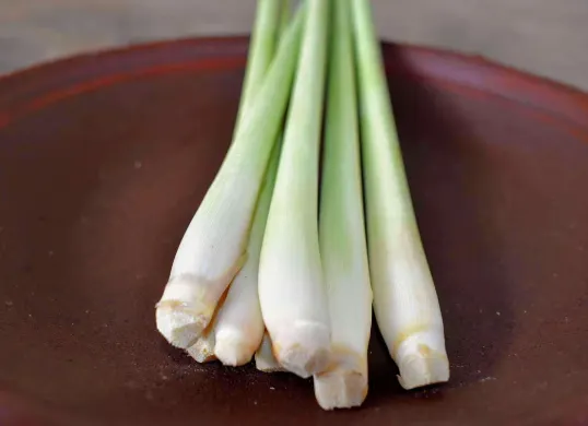 Manfaat minum teh serai, salah satunya terhindar dari risiko kanker. (Sumber: Pixabay/WonderfulBali)