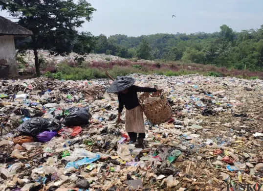Seorang sedang memungut sampah di TPA Bojongcanar, Desa Karyautama, Kecamatan Cikedal, Kabupaten Pandeglang. (Sumber: Poskota/Samsul Fatoni)