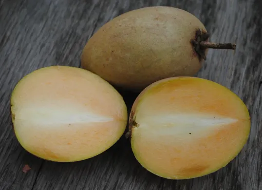 Inilah Manfaat Buah Sawo yang Belum Banyak Orang Ketahui, Bisa Mengobati Batuk (Buah Sawo/Pixabay)