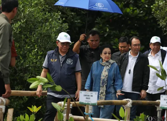Pramono Anung dan Megawati Soekarnoputri menanam pohon mangrove di kawasan Hutan Lindung Angke Kapuk, Penjaringan, Jakarta Utara, Minggu, 20 April 2025. (Sumber: Poskota/Pandi Ramedhan)