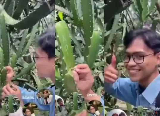 Kolase tangkapan layar salah satu pelaku vandalisme di Kebun Raya Bogor saat mencoret nama mereka pada tanaman kaktus. (Sumber: X/textdaribogor/Poskota/Fani Ferdiansyah)