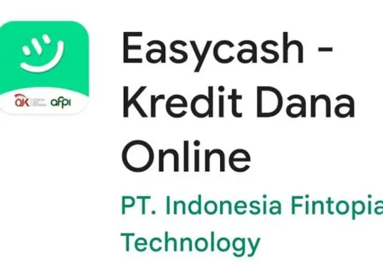 Pinjaman online easycash bisa langsung masuk ke aplikasi dana (Sumber: Pinterest)