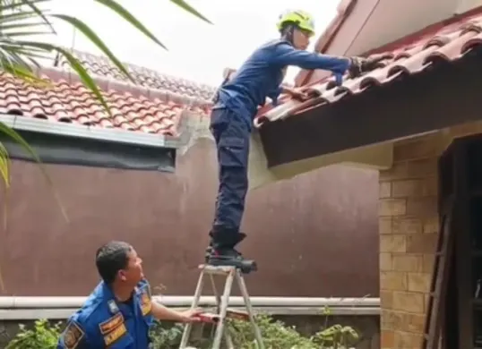 Proses evakuasi petugas Damkar Kota Bogor terhadap empat anak kucing yang terjebak di plafon rumah milik warga, Selasa 22 April 2025. (Sumber: Instagram/damkarkotabogor_official)