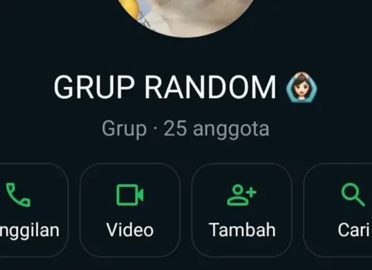 Ilustrasi tampilan grup WhatsAppm (Sumber: Pinterest)
