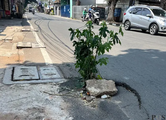 Kondisi jalan berlubang di Jalan Duri Raya, Duri Kepa, Kebon Jeruk, Jakbar, dikeluhkan warga. (Sumber: POSKOTA | Foto: Pandi Ramedhan)