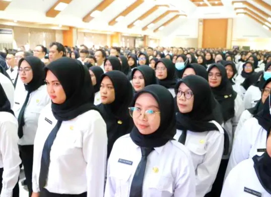 Ilustrasi PPPK Paruh Waktu. (Sumber: tangerang.go.id)