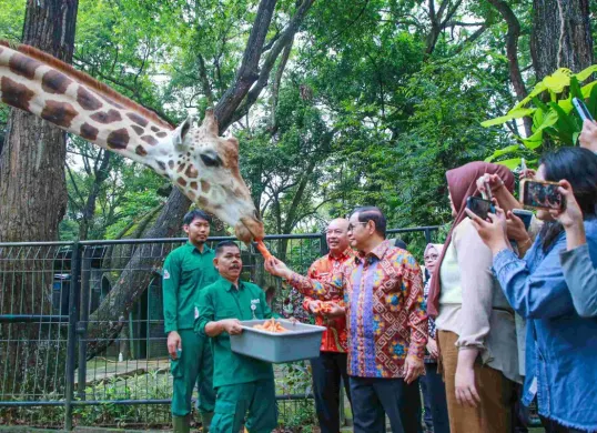 Gubernur Jakarta, Pramono Anung meninjau Taman Margasatwa Ragunan, Jakarta Selatan, beberapa waktu lalu. (Sumber: Dok. Kominfotik Pemprov Jakarta)