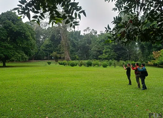 Capellen Avenue, lokasi yang digunakan event konten kreator Endang Yustika bersama kelompoknya di Kebun Raya Bogor. (Sumber: POSKOTA | Foto: Giffar Rivana)