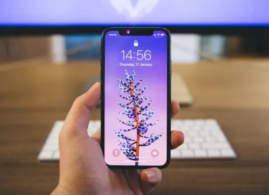 Cek berikut ini beberapa perbedaan iPhone inter dan iBox. (Sumber: Pexels/Rob Eradus)