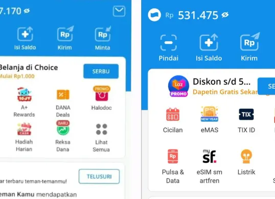 5 aplikasi penghasil saldo DANA. (Sumber: Dok/Dana.id)