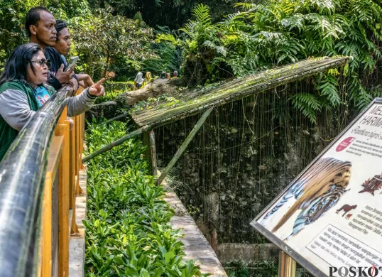Pengunjung melihat satwa ketika berwisata di Taman Margasatwa Ragunan, Pasar Minggu, Jakarta Selatan. (Sumber: Poskota)