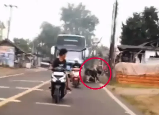 Bocah terlindas bus hingga meninggal dunia saat membuat konten berburu klakson telolet di Serang. (Sumber: Tangkap Layar Instagram/@funnelmedia)