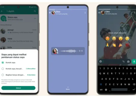 ilustrasi status WhatsApp tanpa diketahui pemiliknya (Sumber: WhatsApp)