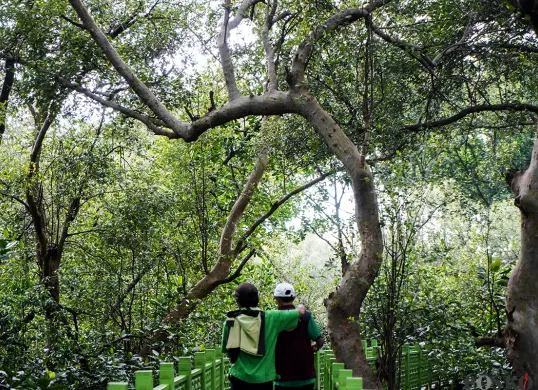 Hutan Lindung Angke Kapuk yang cocok dikunjungi untuk isi libur lebaran. (Sumber: Poskota/Bilal Nugraha Ginanjar)
