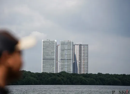 Ekosistem Mangrove Sebagai Solusi Pengurangan Emisi