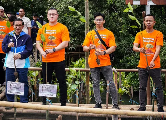 Pramono Anung Tanam Bibit Pohon Mangrove di Hutan Lindung Angke Kapuk
