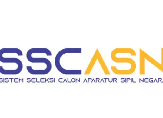 ilustrasi PPPK Tahap 2 tahun 2025