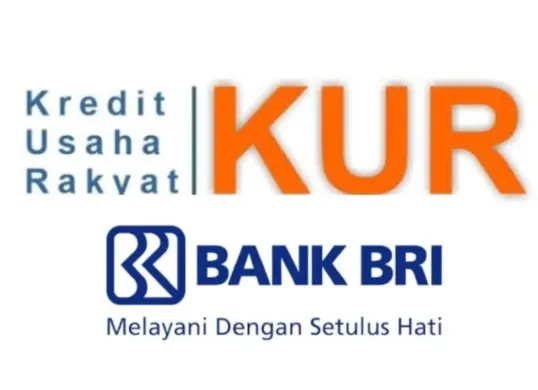 Ilustrasi pengajuan pinjaman dana KUR BRI 2025. (Sumber: BRI)