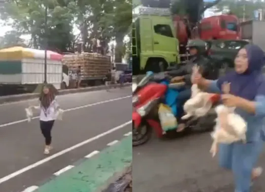 Momen warga mendapatkan ayam potong gratis dari sopir truk pengangkut ayam di Maros. (Sumber: Tangkap Layar X/@mas2_jawa)