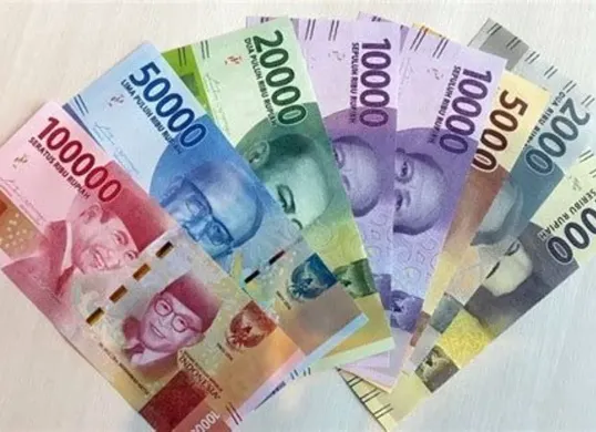 Saldo Dana dari bantuan sosial BPNT kini mulai dicairkan secara bertahap kepada rekening setiap KPM yang terdata via bank himbara (Sumber: Pinterest)