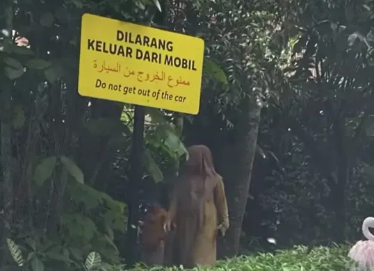 Viral satu keluarga turun dari mobil di kawasan berbahaya di Taman Safari. (Sumber: Capture Instagram @radendim)