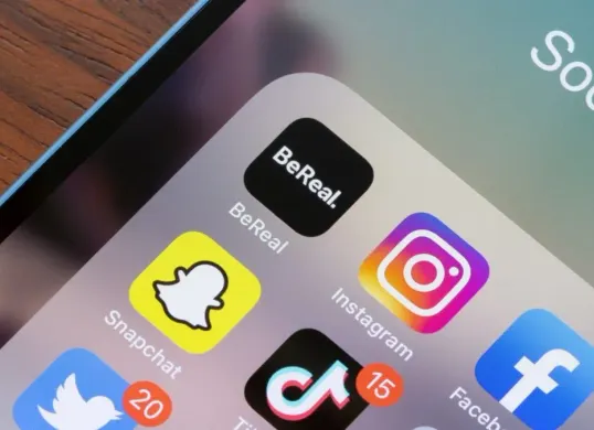Istilah kata Pedot yang tengah viral di media sosial TikTok. (Sumber: Pinterest)