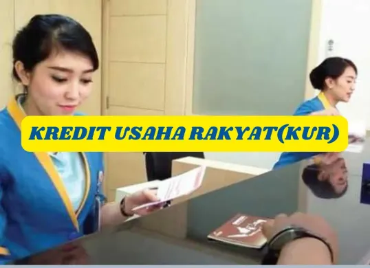 Kelebihan dan kekurangan KUR untuk bisnis. (Sumber: Pinterest)