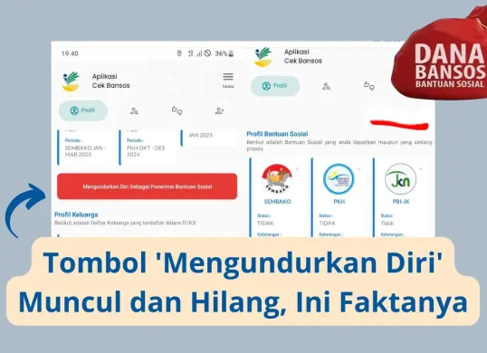 Fakta tombol 'Mengundurkan Diri' di aplikasi Cek Bansos. (Sumber: Facebook/@jihannabila)