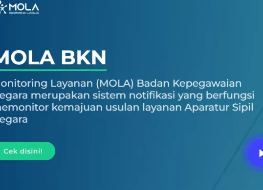 Cara cek NIP CPNS dan NI PPPK dengan Mola BKN (Sumber: bkn.go.id)