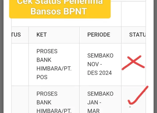 Cek status penerima bansos BPNT. (Sumber: Tangkapan layar di cekbansos.kemensos)