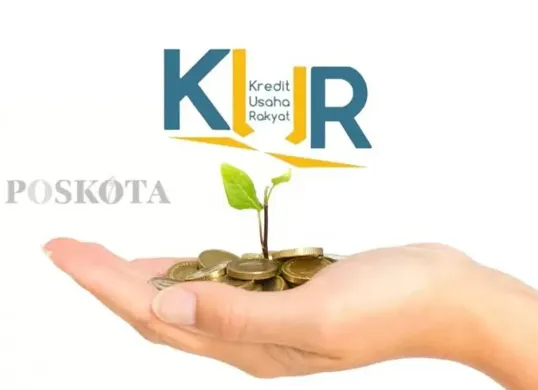 6 alasan kenapa pengajuan KUR BRI gagal cair.