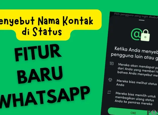 WhatsApp meluncurkan fitur baru yang memungkinkan pengguna untuk menyebutkan nama kontak di status. (WhatsApp/Neni Nuraeni)