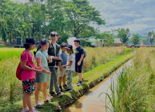 Anak-anak sedang belajar mengolah padi di Scientia Square Park (Sumber: Instagram/@scientiasquarepark)