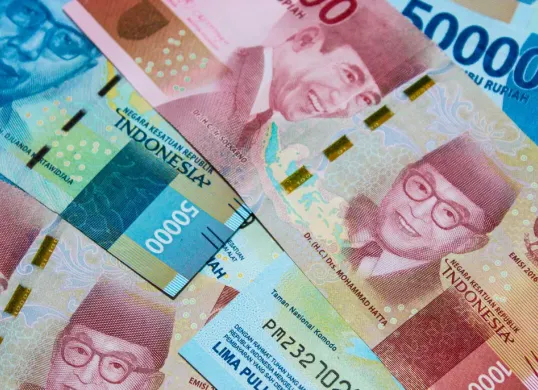 Ketahui penyebabnya dan simak solusi lengkap agar dana bansos BPNT 2025 bisa segera diterima KPM.(Sumber: Canva/Ewa Sarwoe)