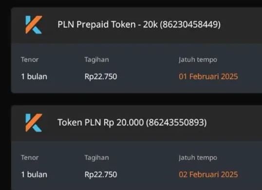 Perhatikan struk pembelian token listrik untuk memastikan apakah Anda mendapatkan subsidi. Bijak memahami informasi adalah kunci. (Sumber: Facebook/Ayu)