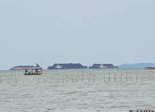 Pagar bambu misterius di wilayah Laut Tangerang, Jumat, 10 Januari 2025. (Sumber: Poskota/Veronica)